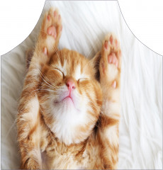 Фартук для кухни «Сонный котенок» - Фото 1