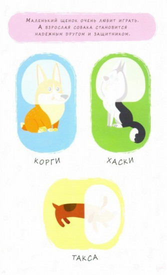 Домашние питомцы