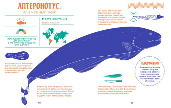 Электрические рыбы