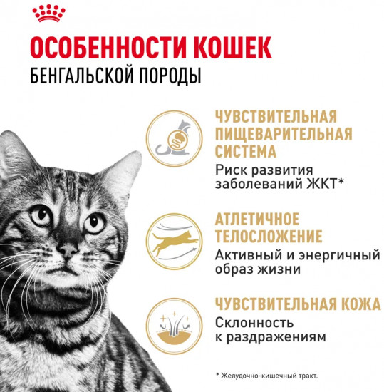 Корм сухой для бенгальских кошек «Bengal Adult»