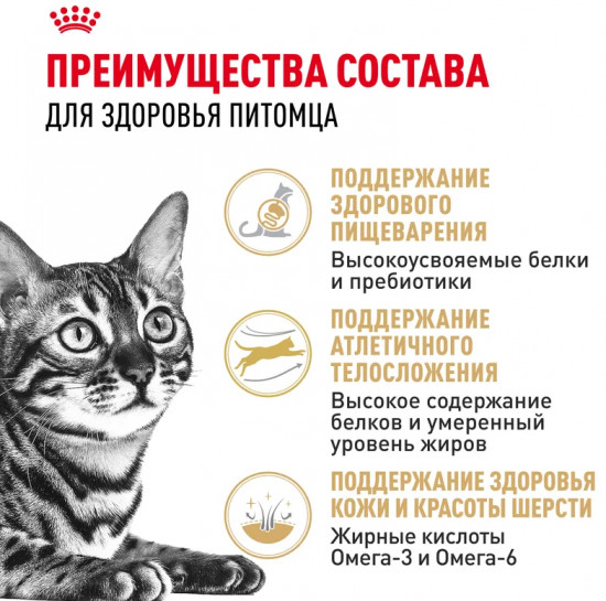 Корм сухой для бенгальских кошек «Bengal Adult»