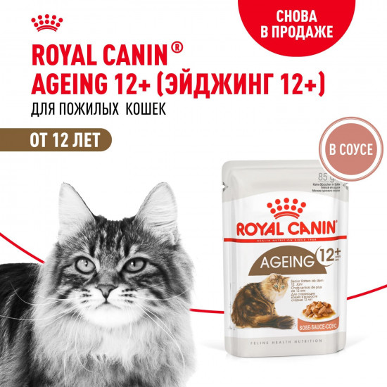 Набор кормов для кошек в соусе «Ageing 12+»