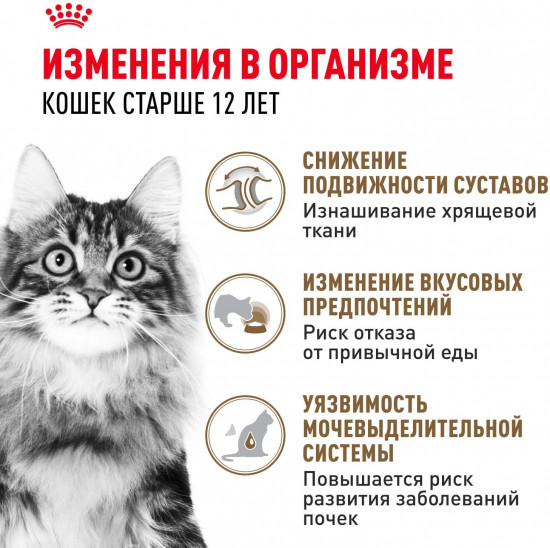 Набор кормов для кошек в соусе «Ageing 12+»