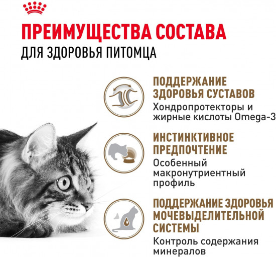 Набор кормов для кошек в соусе «Ageing 12+»
