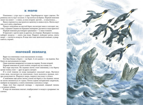 Ночные колокольчики