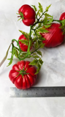 Декоративное украшение «Помидор» - Фото 1