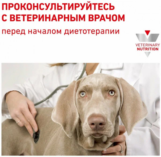 Корм консервированный для собак при нарушениях пищеварения «Gastrointestinal Low Fat»