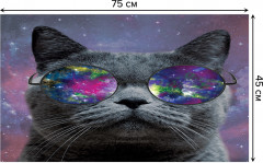 Коврик придверный «Кот из космоса» - Фото 1