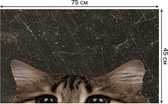 Коврик придверный «Любопытный котик» - Фото 1