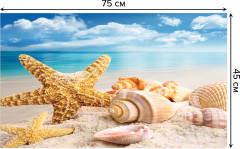 Коврик придверный «Морская звезда и ракушки» - Фото 1