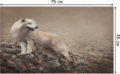 Коврик придверный «Одинокий волк» - Фото 1