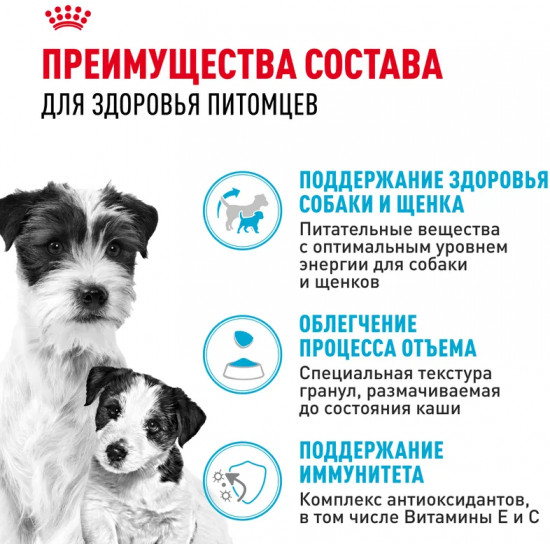Корм сухой для беременных, кормящих собак и щенков «Mini Starter»