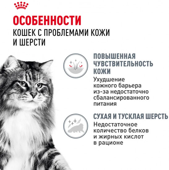 Набор кормов для кошек «Hair and Skin»