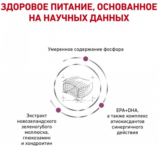 Корм сухой для взрослых кошек для поддержания функции почек «Early Renal»