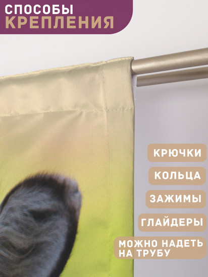 Комплект штор «Зебровая нежность»