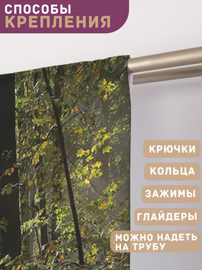 Комплект штор «Лесная тропинка»