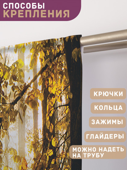 Комплект штор «Лучистый лес»