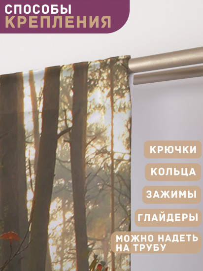 Комплект штор «Осенний лес»