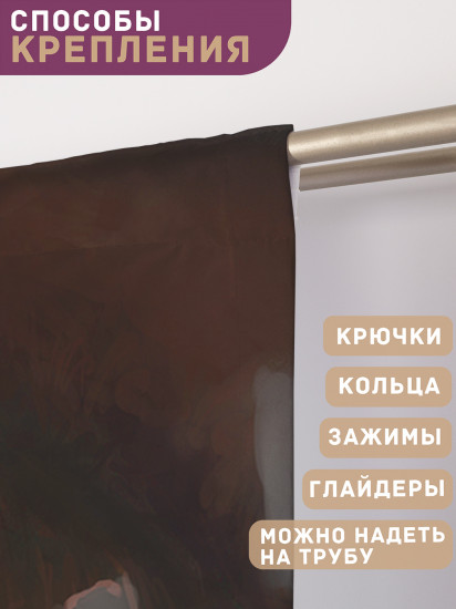 Комплект штор «Ужасный дракон»