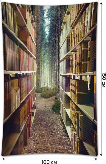 Фотопанно на стену «Длинные книжные ряды»