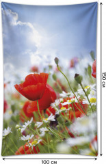 Фотопанно на стену «Маки и ромашки» - Фото 1