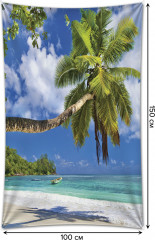 Фотопанно на стену «Тень пальмы» - Фото 1