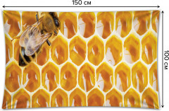 Фотопанно на стену «Соты с медом» - Фото 1