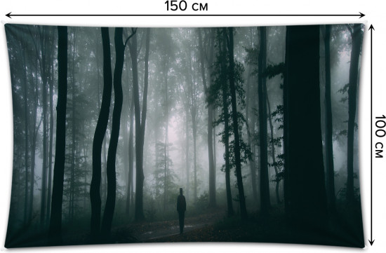 Фотопанно на стену «Туманное одиночество»