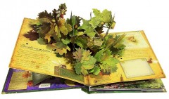 Королевство фей. Книжка-панорама - Фото 2