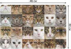 Комплект плейсматов «Кошачьи лица» - Фото 1