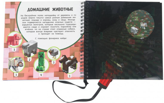 Книжка с фонариком «Игровой квест. Кубический мир»
