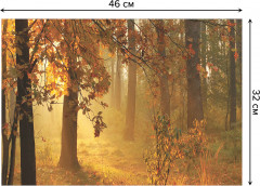 Комплект плейсматов «Осенний лес» - Фото 2