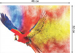 Комплект плейсматов «Радужный попугай» - Фото 2