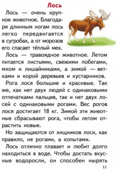 Учимся рассказывать о животных