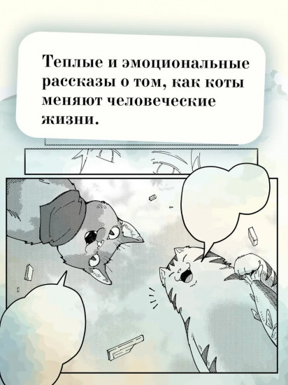 Прощание с котом