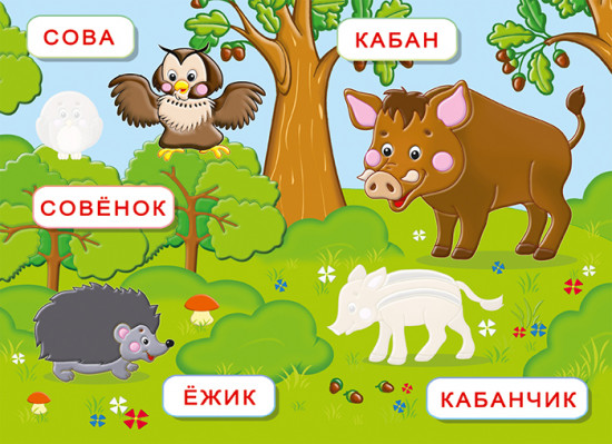 Лесные звери. Обучающие наклейки
