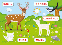 Лесные звери. Обучающие наклейки - Фото 2
