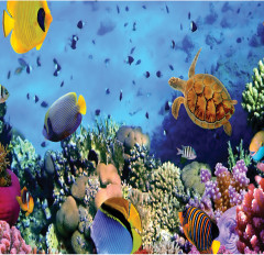 Сетка для игрушек в ванную «Морская глубина» - Фото 1