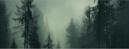 Корзина для белья «Туман в лесу»
