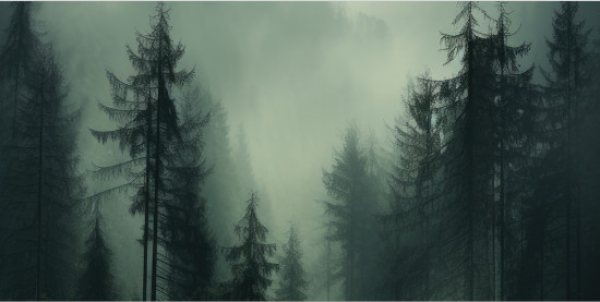 Корзина для белья «Туман в лесу»
