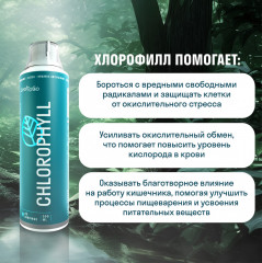 Хлорофилл - Фото 1