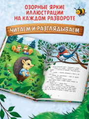 Ёжик учится дружить - Фото 5