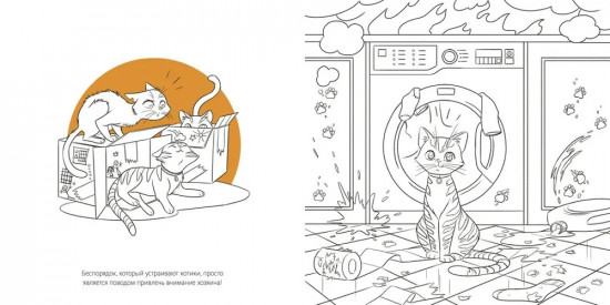 Кошки