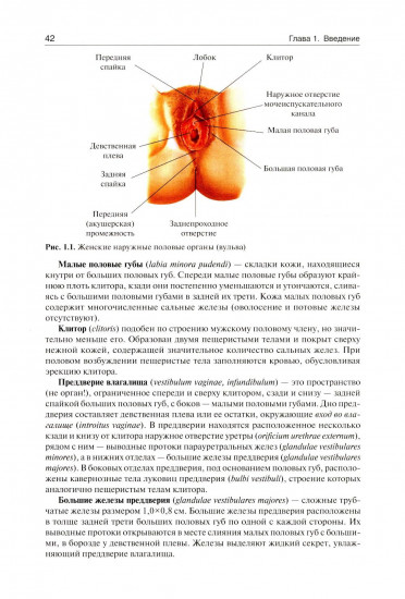 Акушерство