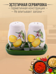 Набор для специй на подставке «Лимонный праздник» - Фото 1