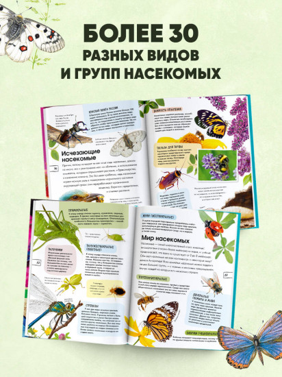 Насекомые