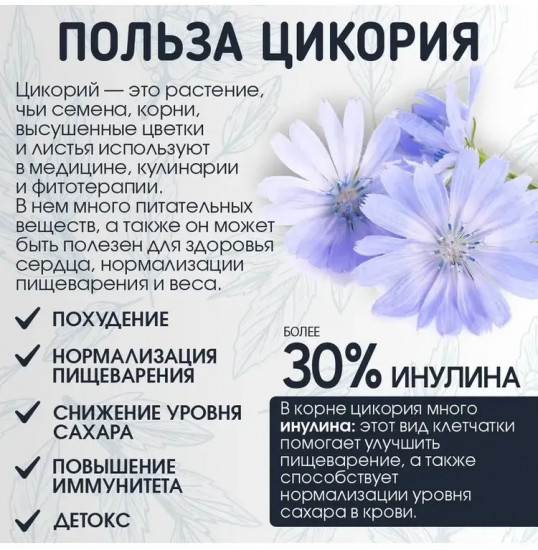 Цикорий порошкообразный