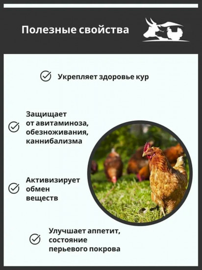 Добавка кормовая «Здравур Несушка»