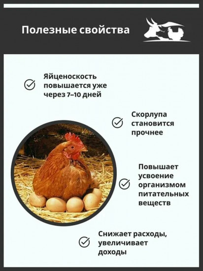Добавка кормовая «Здравур Несушка»