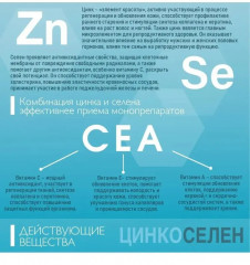 БАД «Цинкоелен» - Фото 2